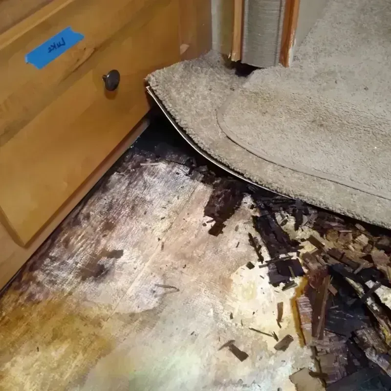 Best Wood Floor Water Damage Service in Converse, IN